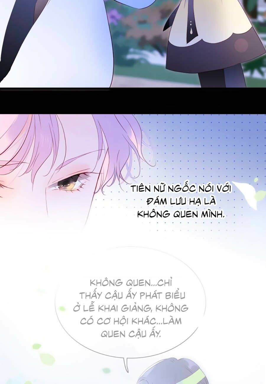 Hoa Bỏ Chạy Với Nhím Rồi: Chapter 4