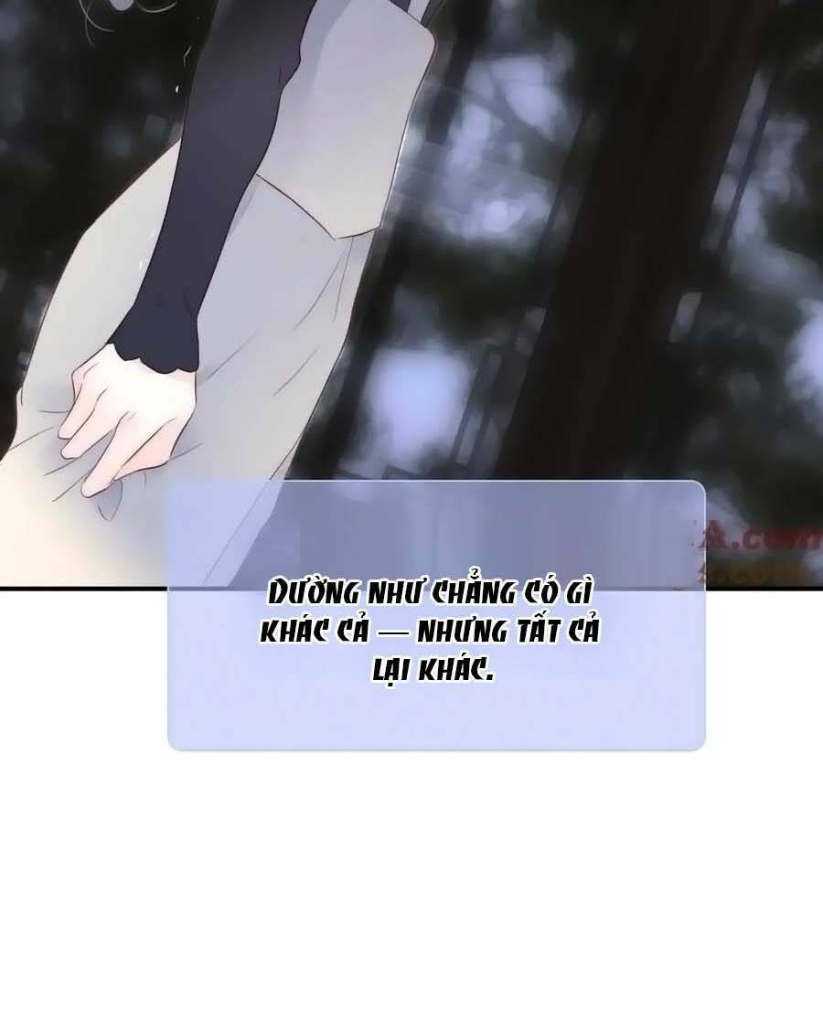 Hoa Bỏ Chạy Với Nhím Rồi: Chapter 101