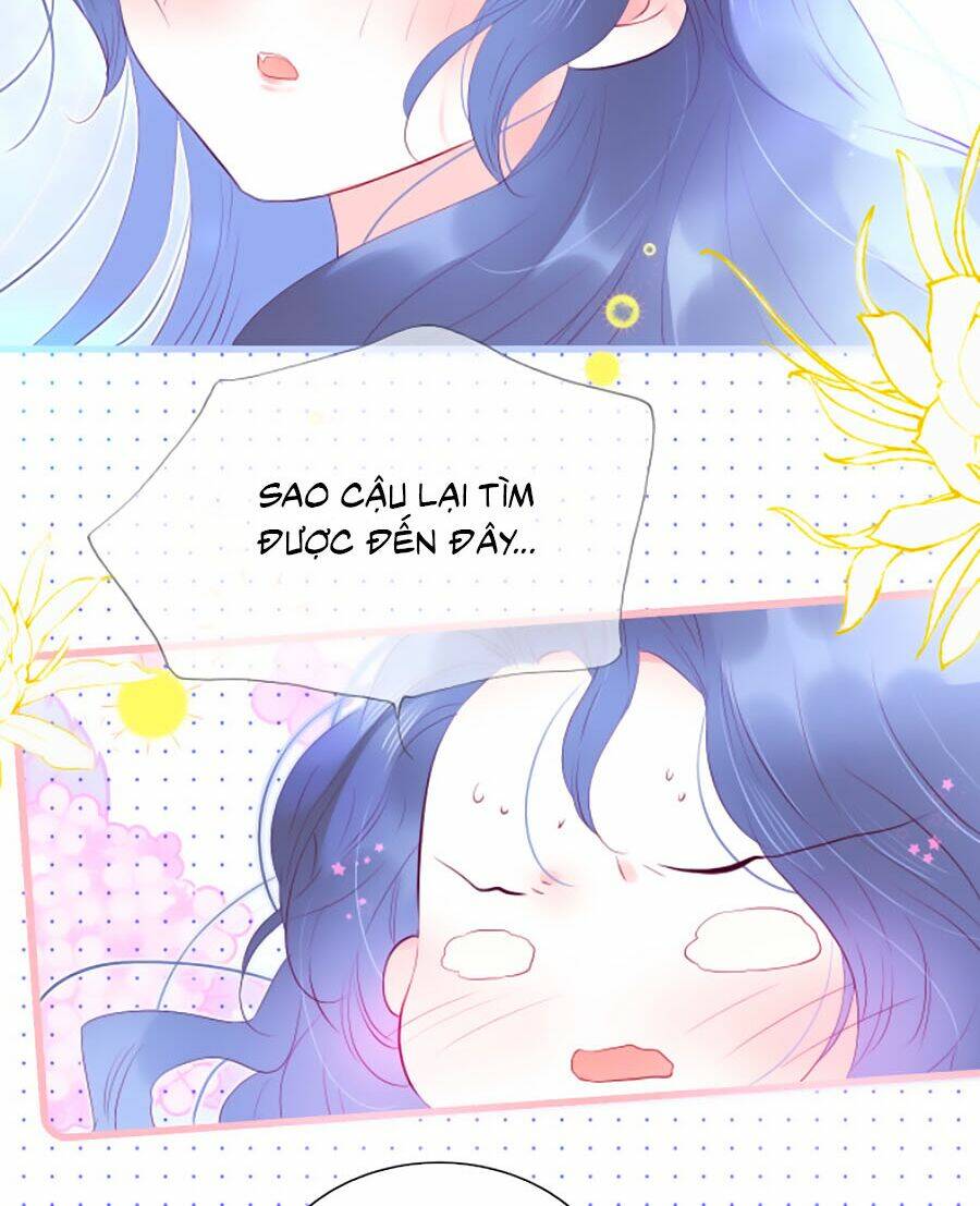 Hoa Bỏ Chạy Với Nhím Rồi: Chapter 27