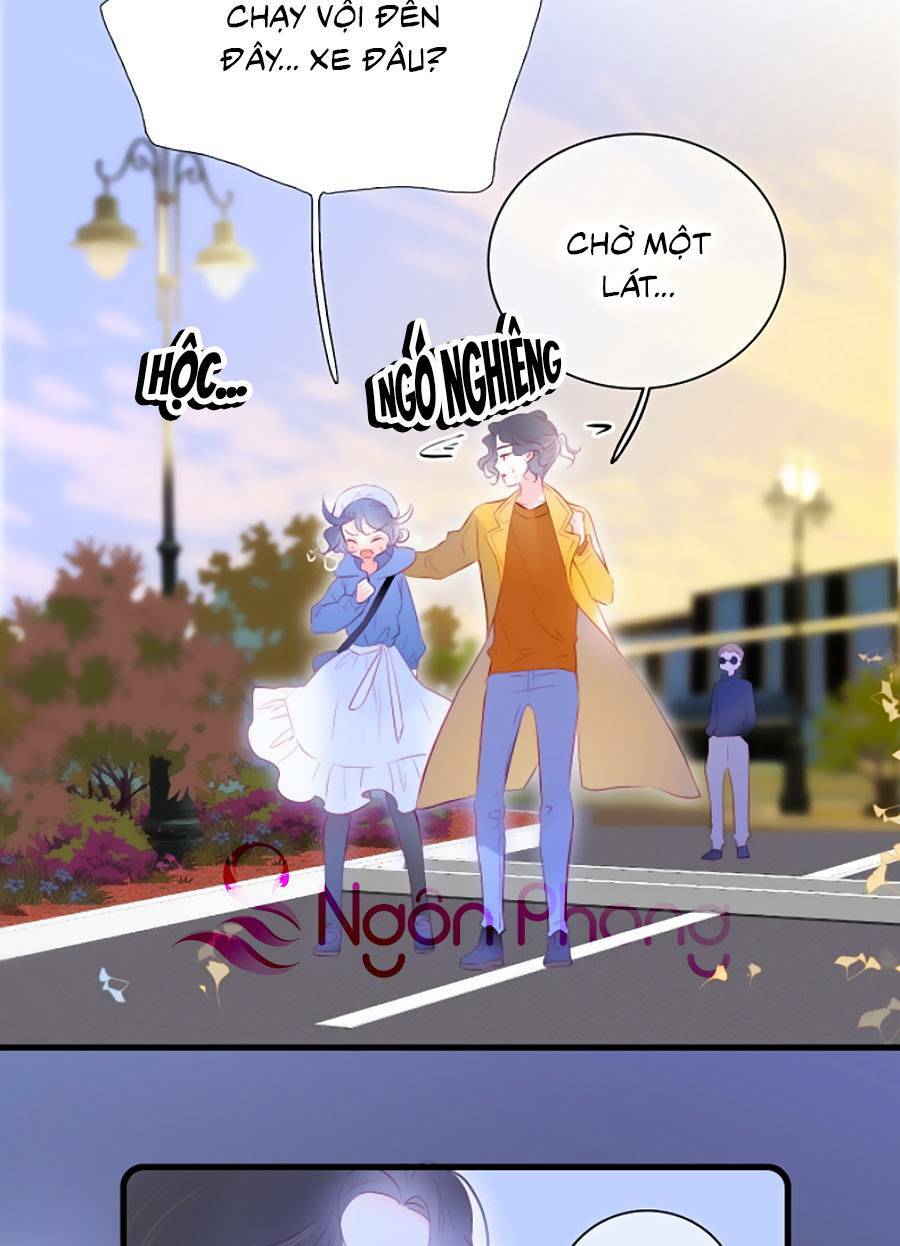 Hoa Bỏ Chạy Với Nhím Rồi: Chapter 41