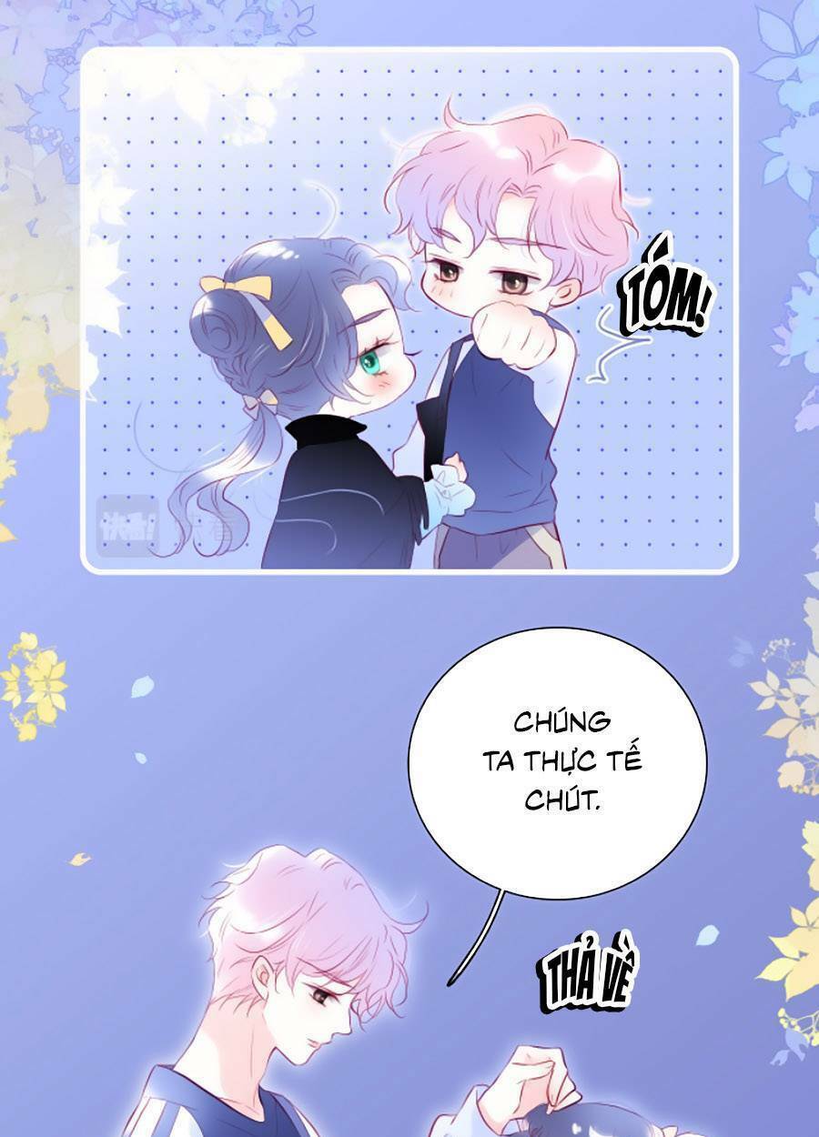 Hoa Bỏ Chạy Với Nhím Rồi: Chapter 46