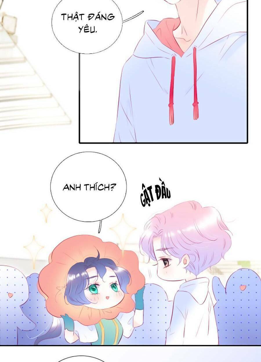 Hoa Bỏ Chạy Với Nhím Rồi: Chapter 62