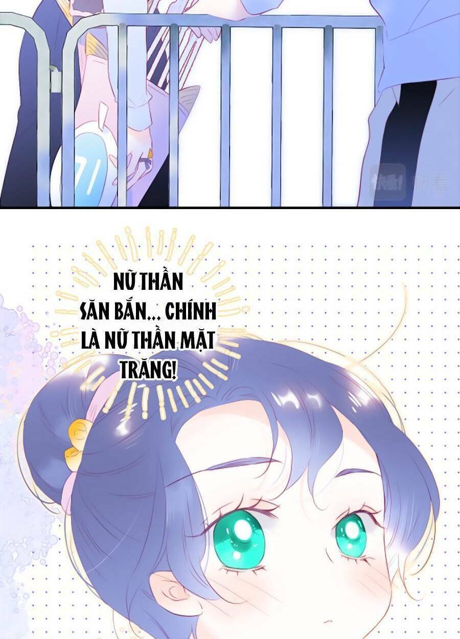 Hoa Bỏ Chạy Với Nhím Rồi: Chapter 62