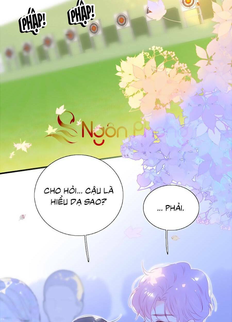 Hoa Bỏ Chạy Với Nhím Rồi: Chapter 62
