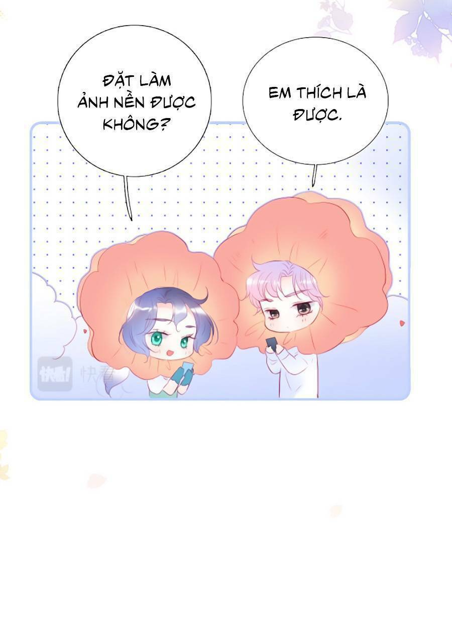 Hoa Bỏ Chạy Với Nhím Rồi: Chapter 62