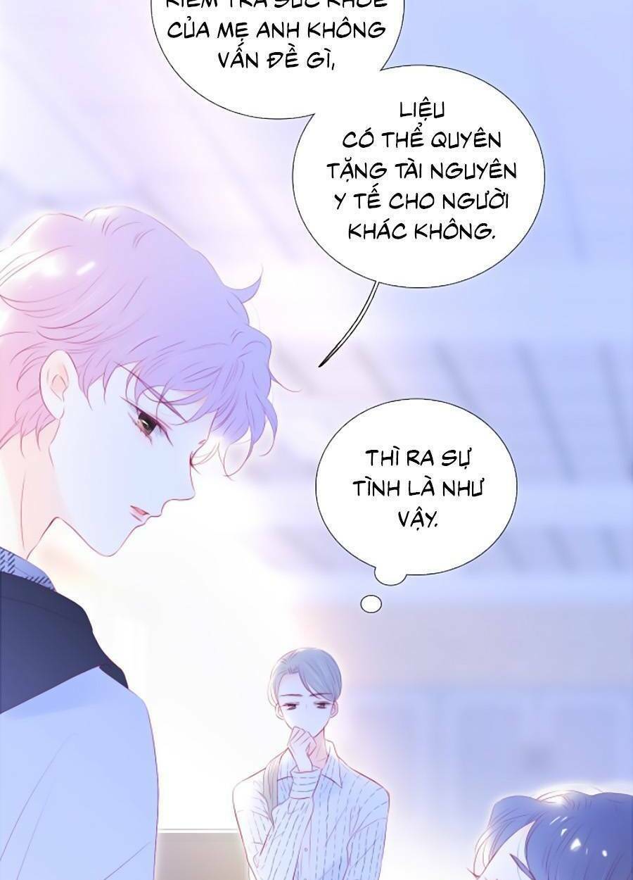 Hoa Bỏ Chạy Với Nhím Rồi: Chapter 65