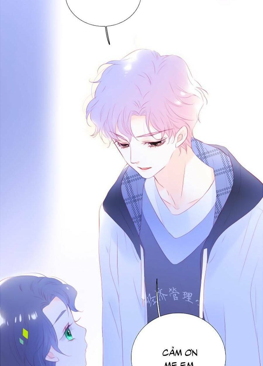 Hoa Bỏ Chạy Với Nhím Rồi: Chapter 65
