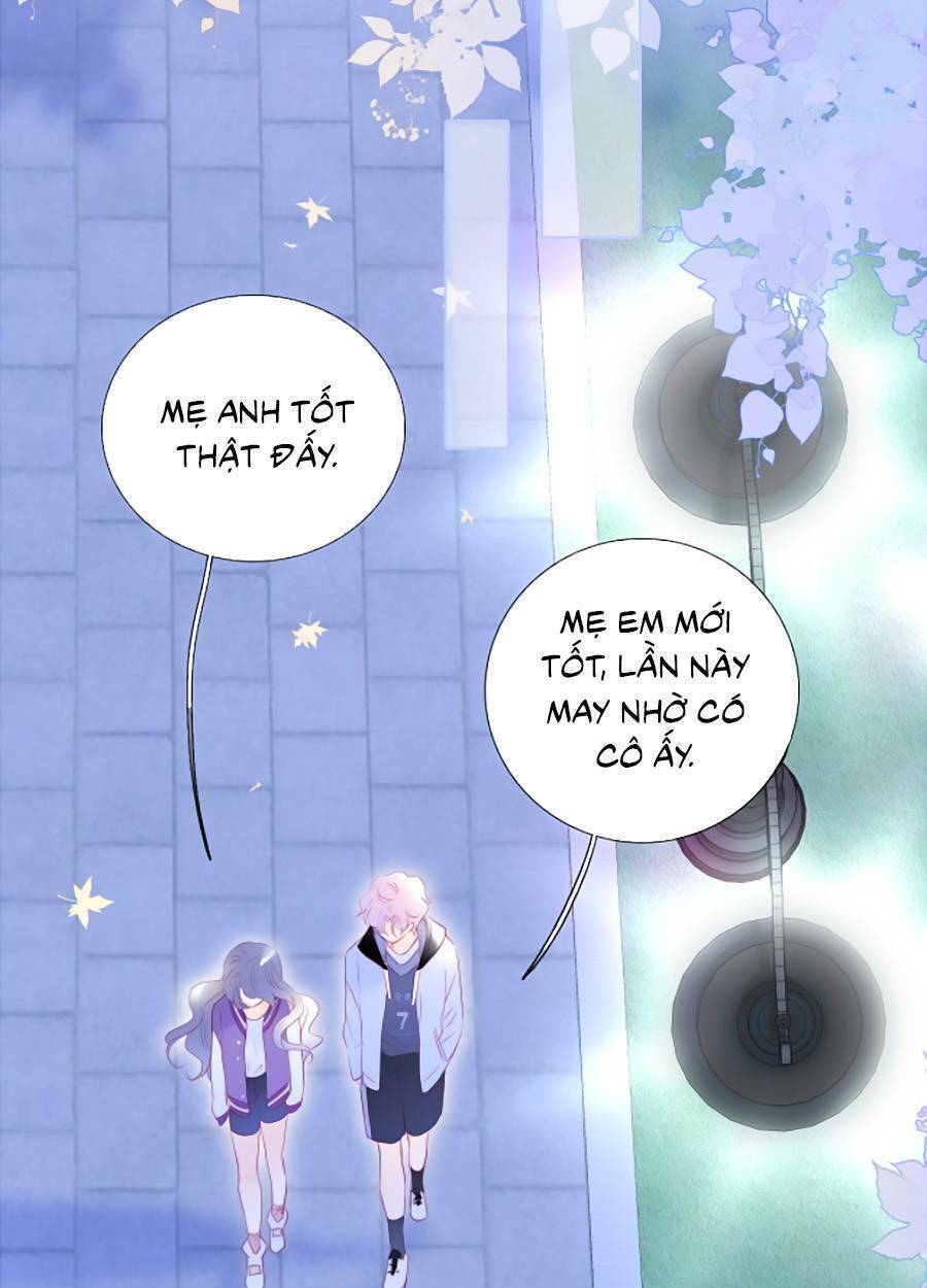 Hoa Bỏ Chạy Với Nhím Rồi: Chapter 65