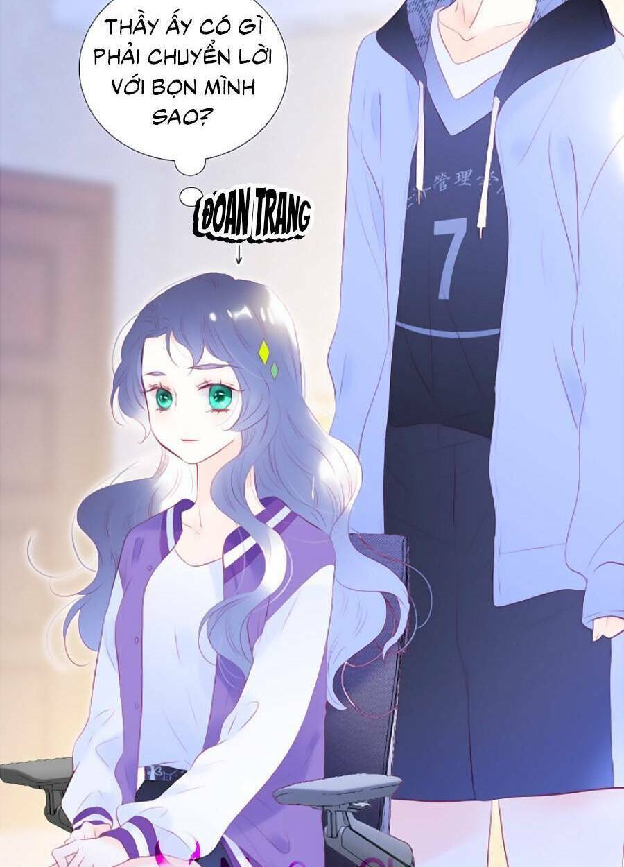 Hoa Bỏ Chạy Với Nhím Rồi: Chapter 65
