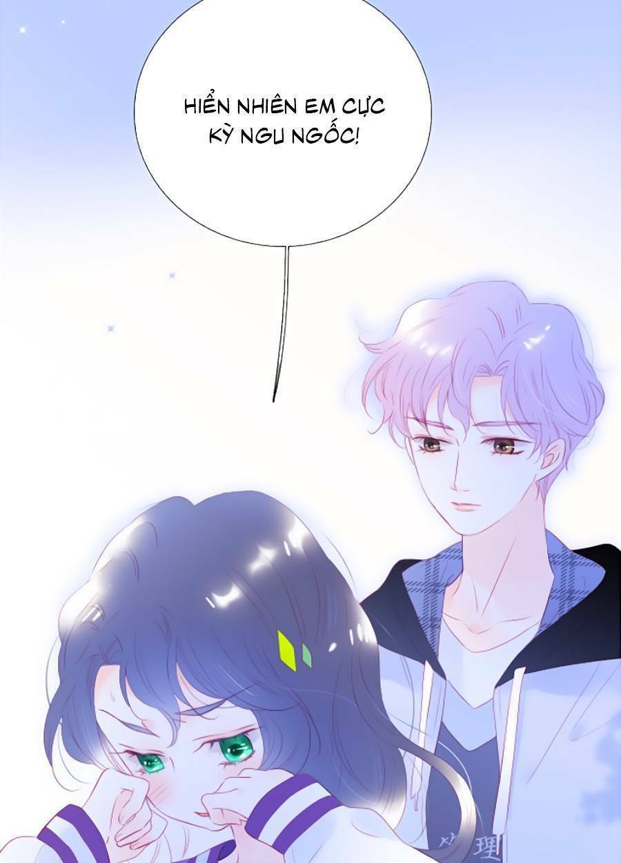 Hoa Bỏ Chạy Với Nhím Rồi: Chapter 65