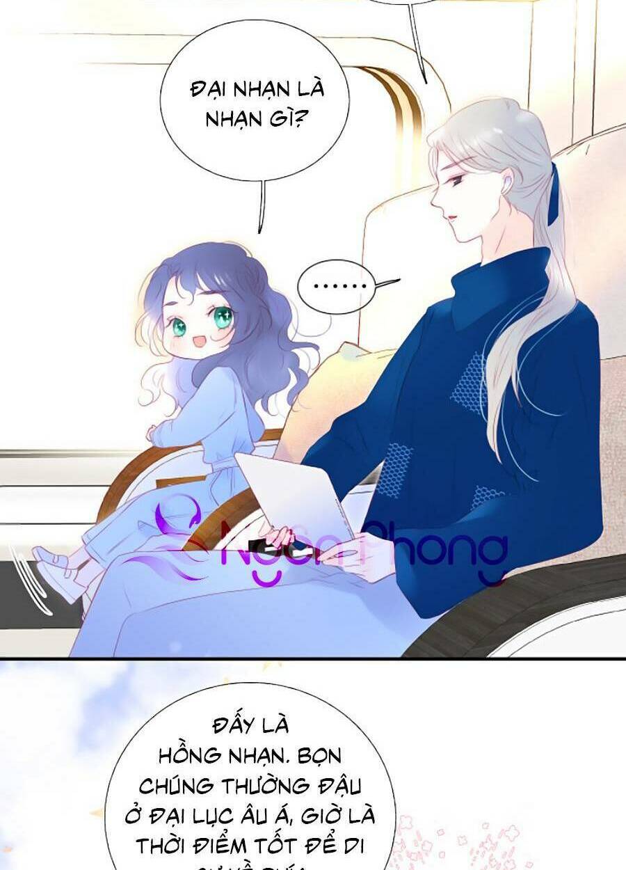 Hoa Bỏ Chạy Với Nhím Rồi: Chapter 66