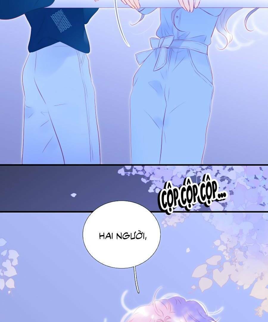Hoa Bỏ Chạy Với Nhím Rồi: Chapter 67