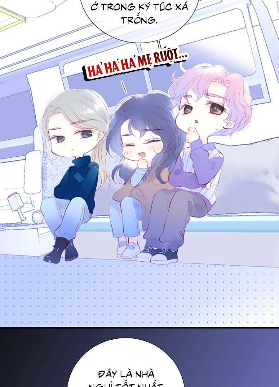 Hoa Bỏ Chạy Với Nhím Rồi: Chapter 67
