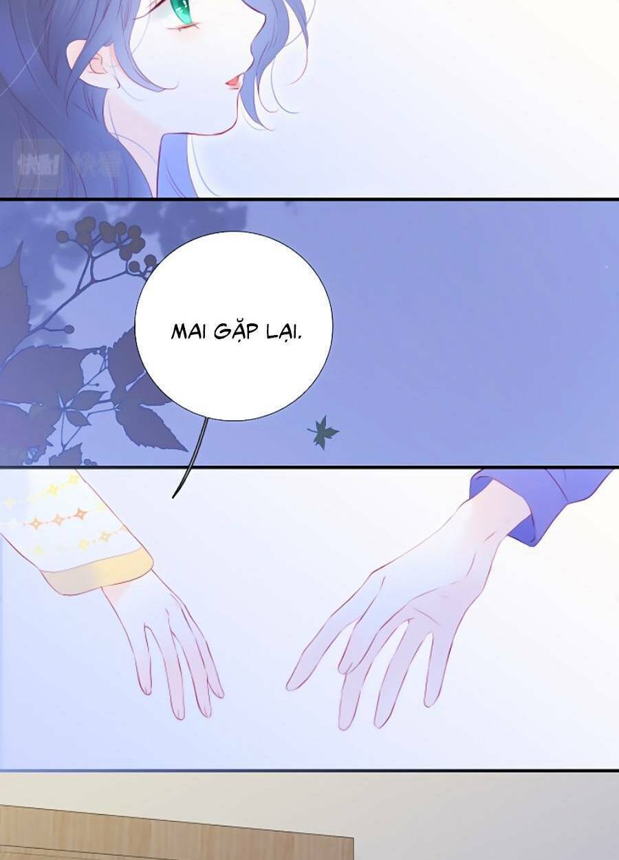 Hoa Bỏ Chạy Với Nhím Rồi: Chapter 67