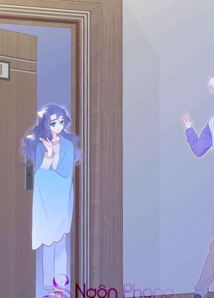 Hoa Bỏ Chạy Với Nhím Rồi: Chapter 67