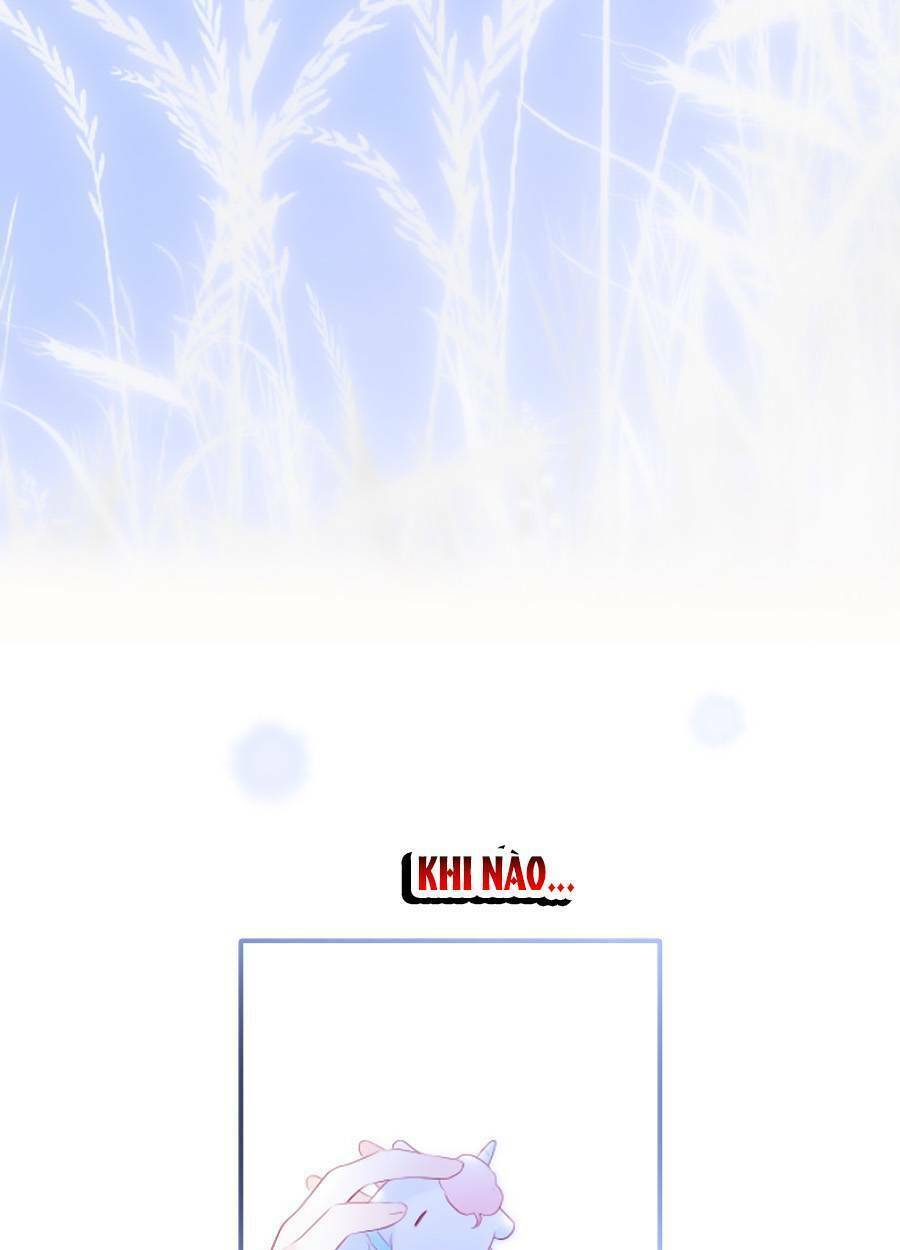 Hoa Bỏ Chạy Với Nhím Rồi: Chapter 67
