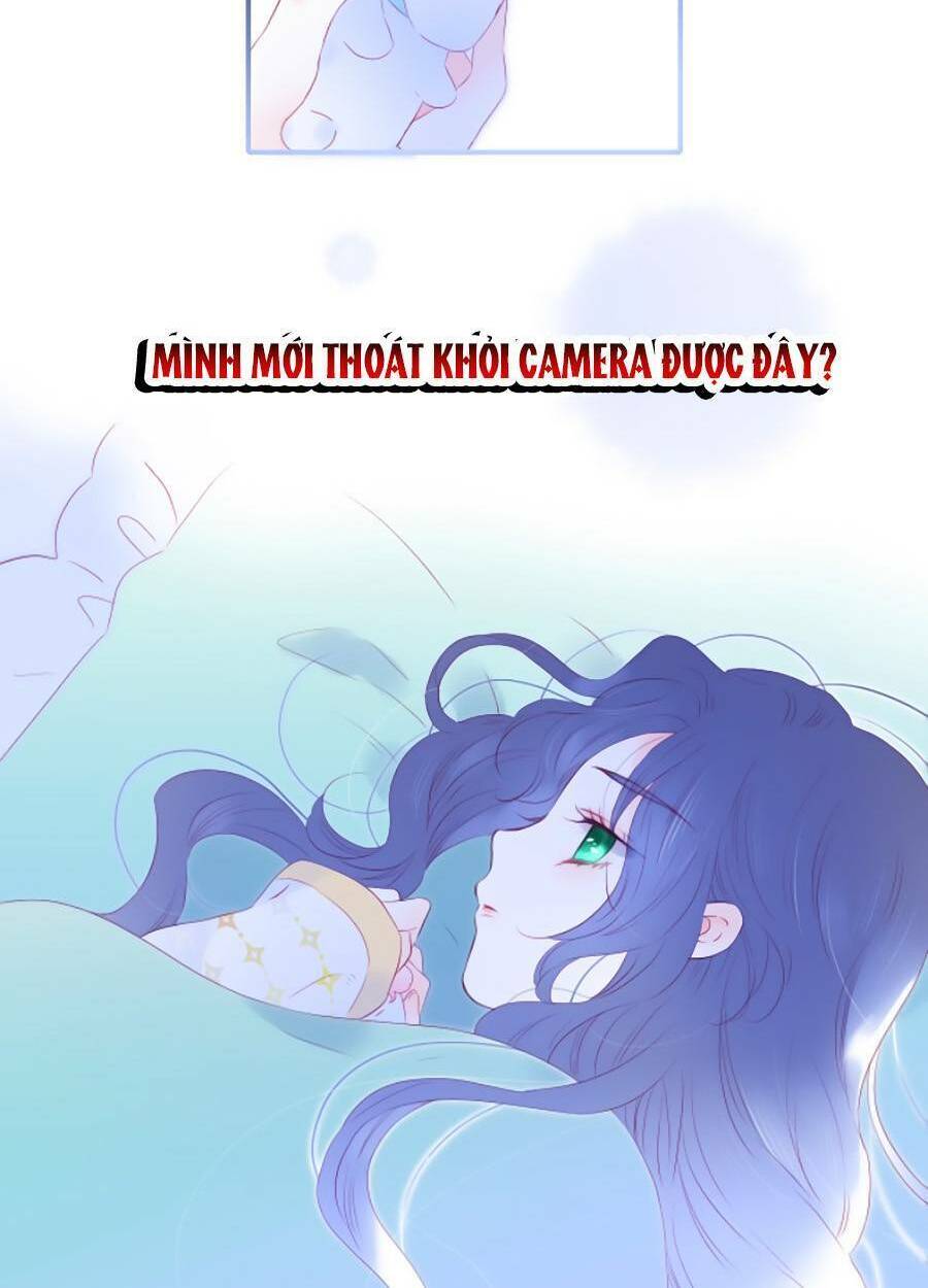 Hoa Bỏ Chạy Với Nhím Rồi: Chapter 67