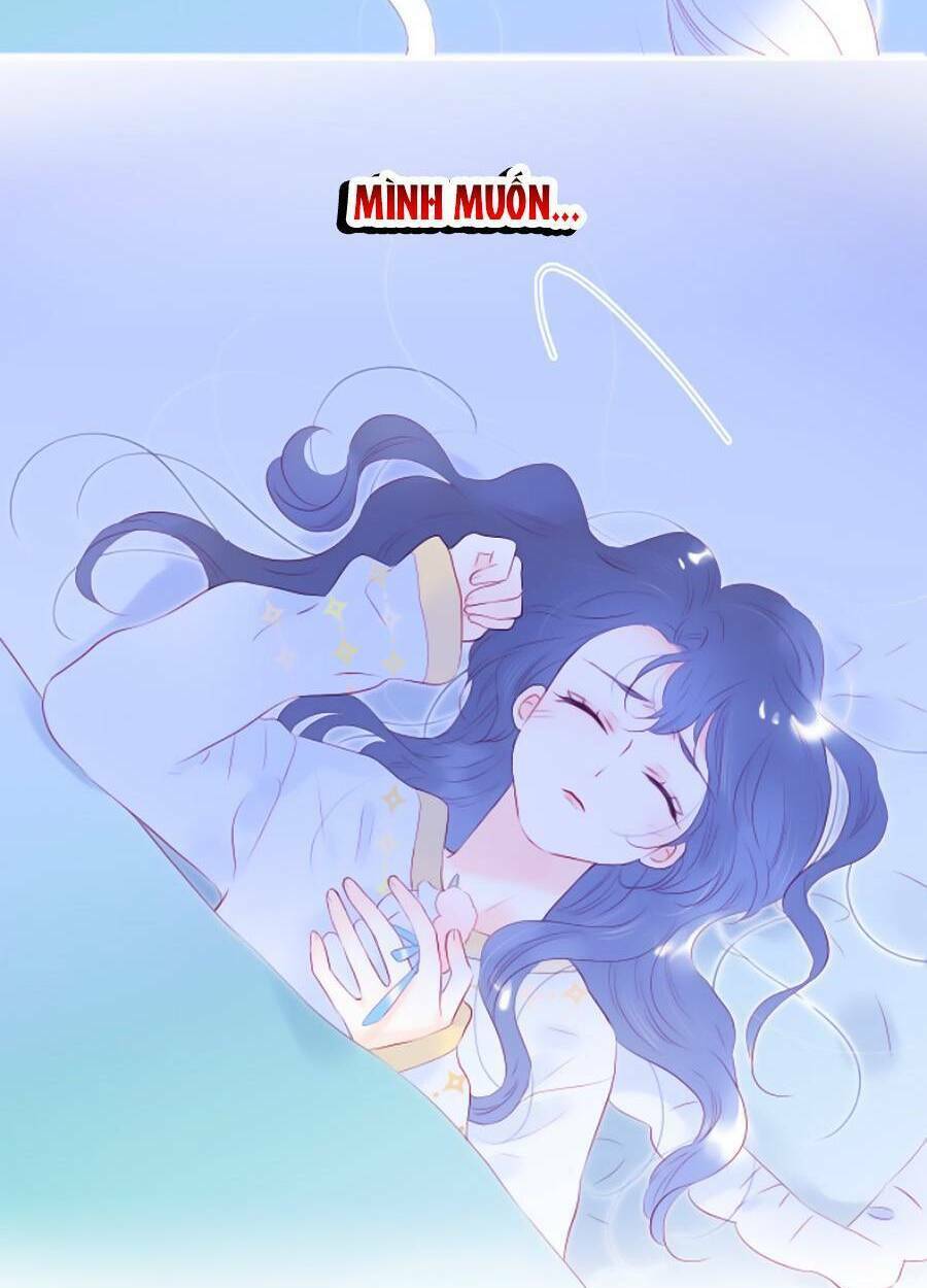 Hoa Bỏ Chạy Với Nhím Rồi: Chapter 67