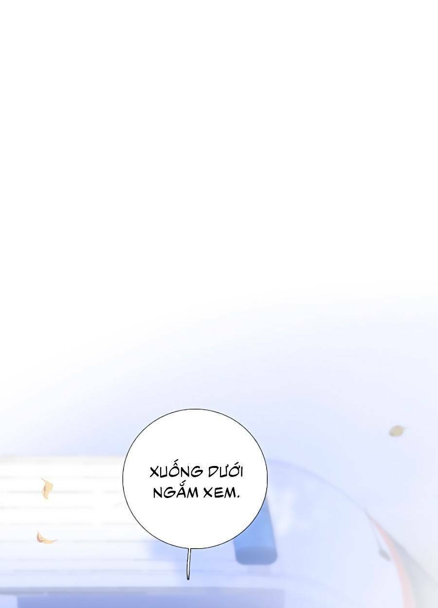 Hoa Bỏ Chạy Với Nhím Rồi: Chapter 67