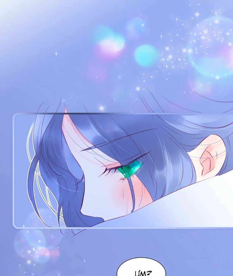 Hoa Bỏ Chạy Với Nhím Rồi: Chapter 7