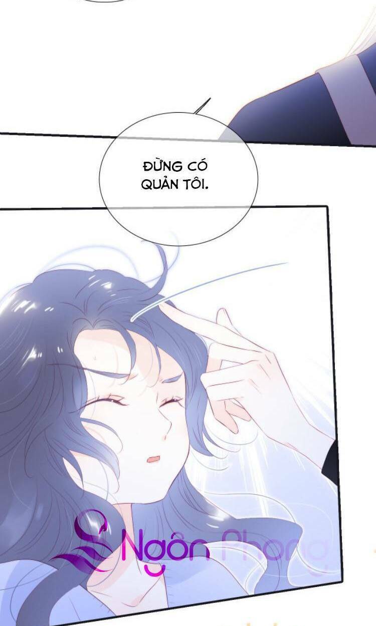 Hoa Bỏ Chạy Với Nhím Rồi: Chapter 71