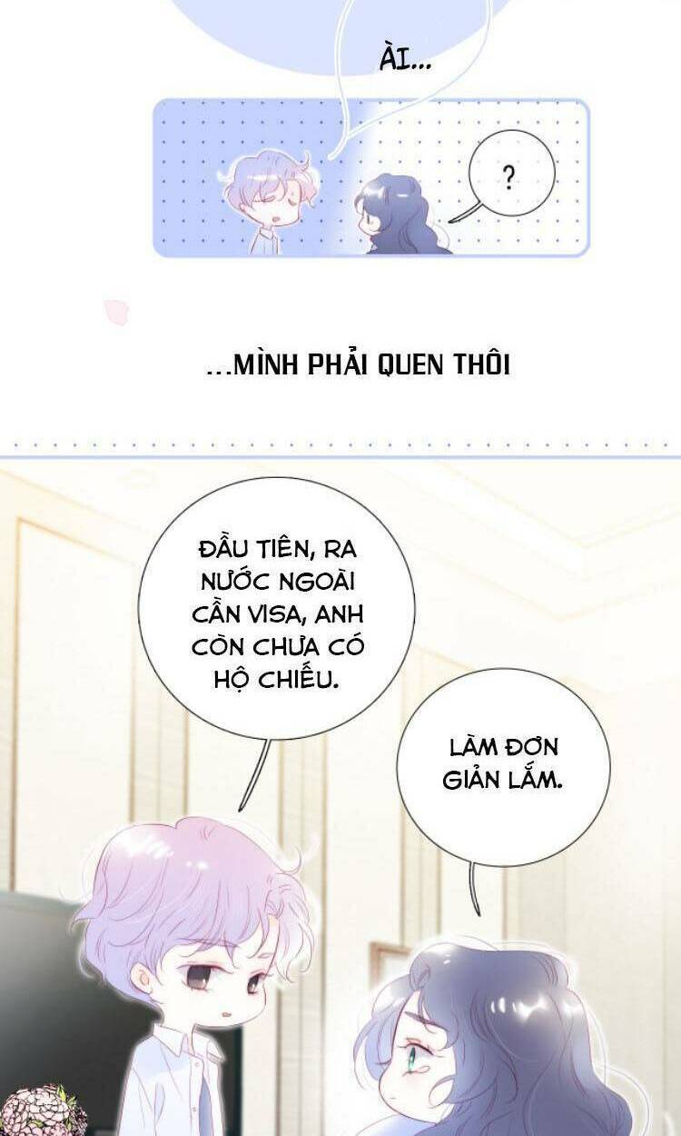 Hoa Bỏ Chạy Với Nhím Rồi: Chapter 71