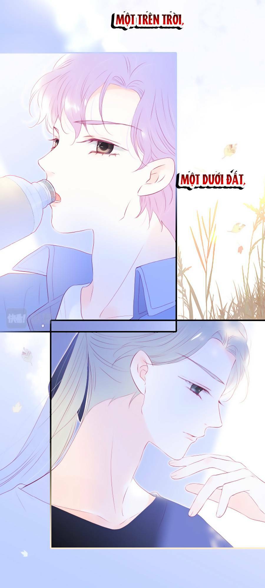 Hoa Bỏ Chạy Với Nhím Rồi: Chapter 73