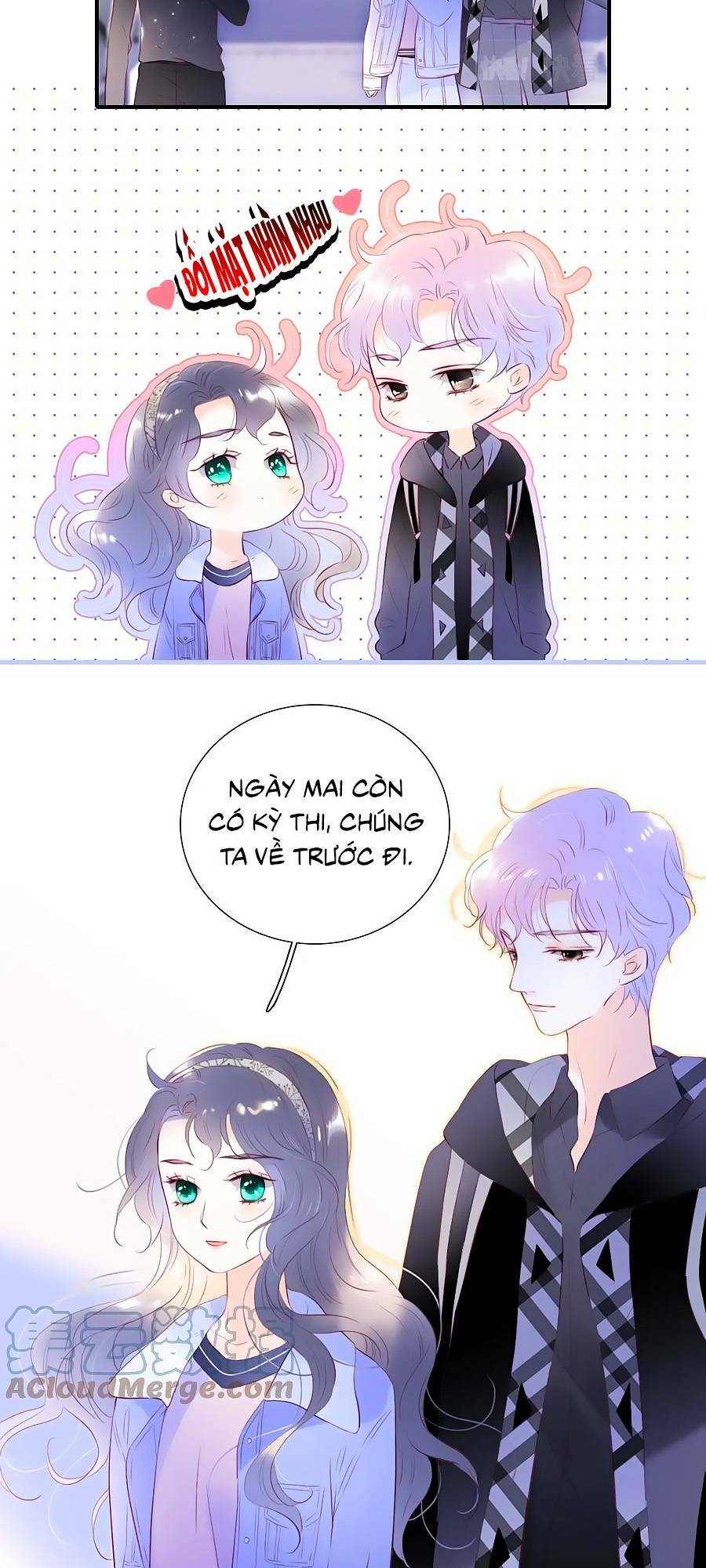 Hoa Bỏ Chạy Với Nhím Rồi: Chapter 86
