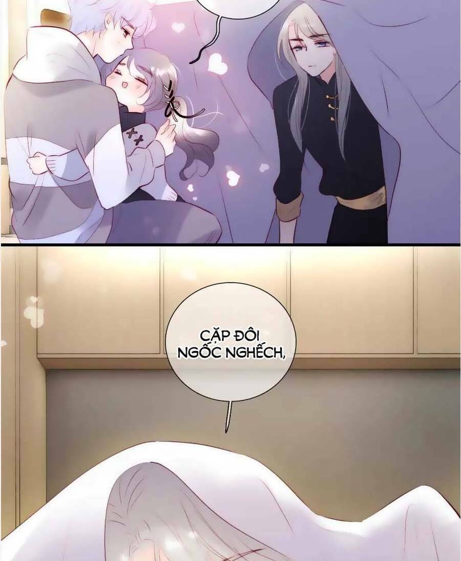 Hoa Bỏ Chạy Với Nhím Rồi: Chapter 89