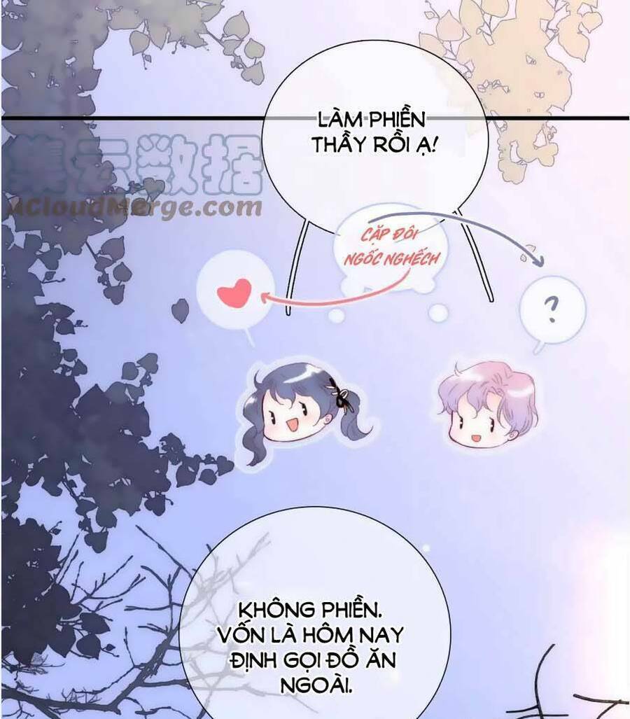 Hoa Bỏ Chạy Với Nhím Rồi: Chapter 89