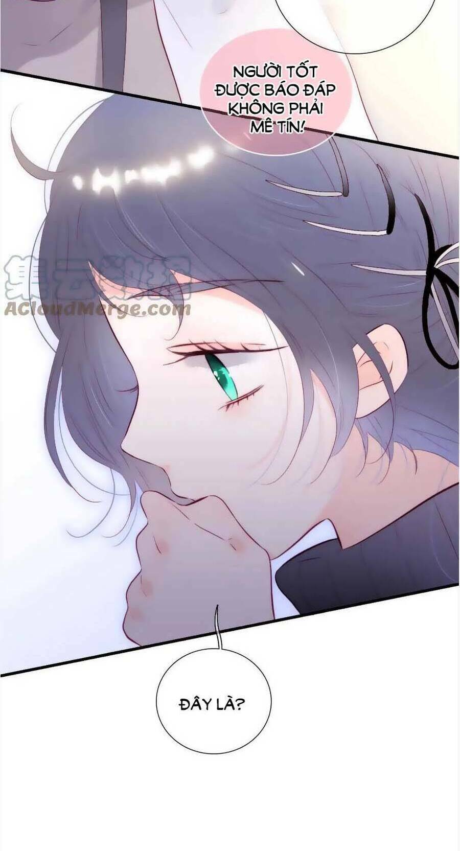 Hoa Bỏ Chạy Với Nhím Rồi: Chapter 89