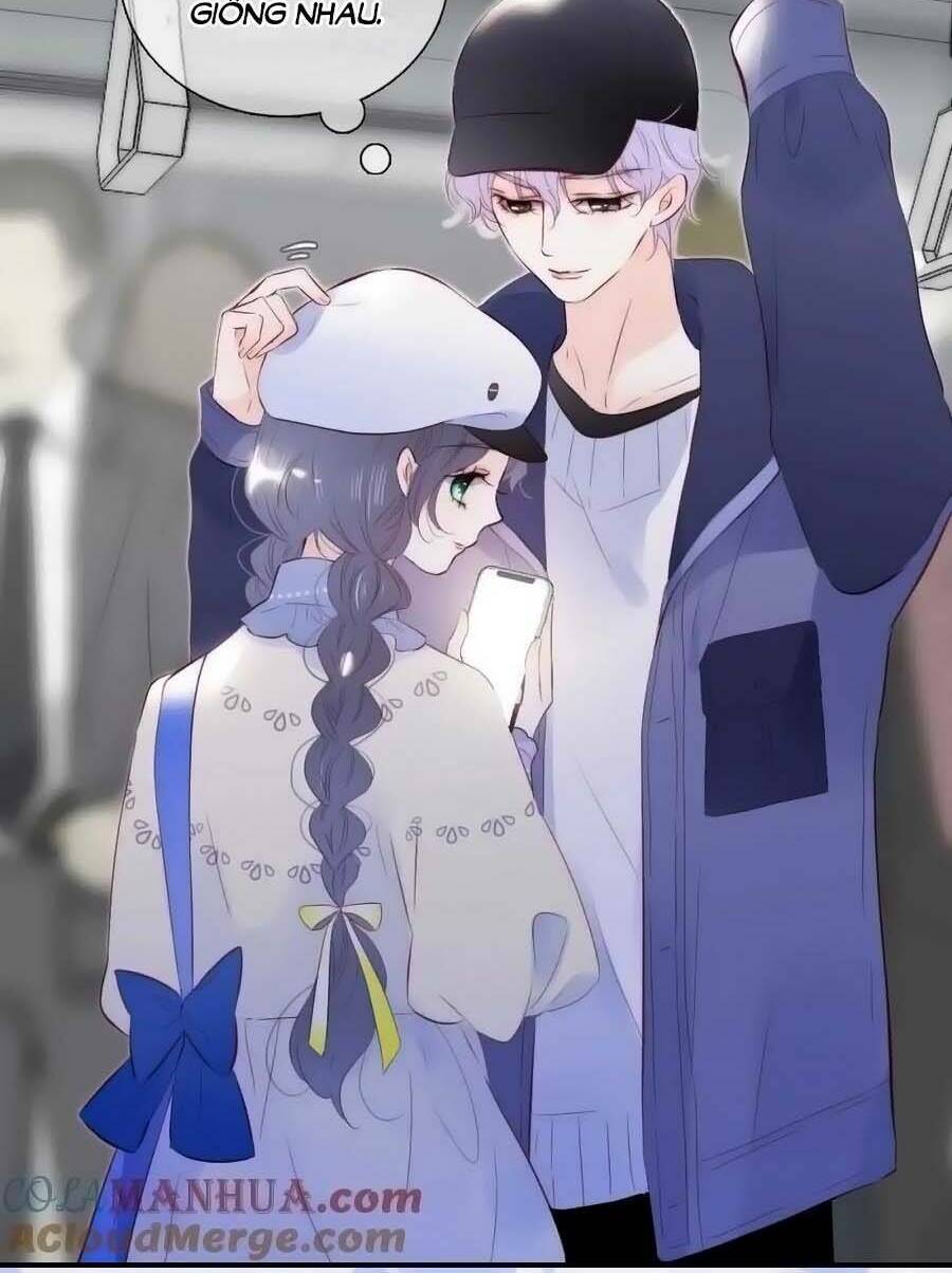 Hoa Bỏ Chạy Với Nhím Rồi: Chapter 95