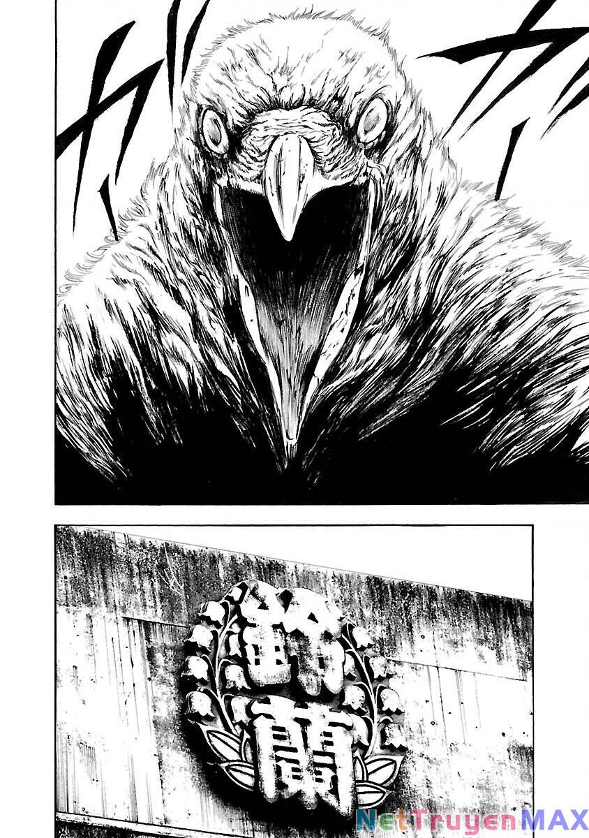 Crows Explode: Chapter 19: Số 2
