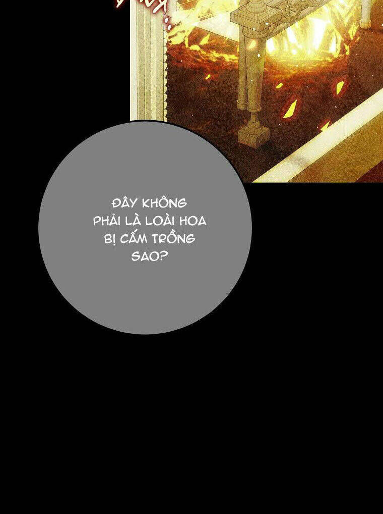 Tôi Trở Thành Vợ Nam Chính: Chapter 93