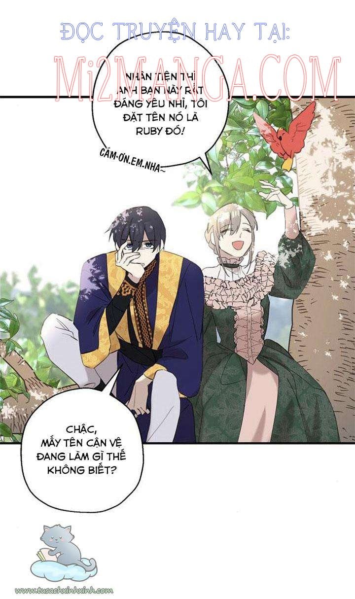 Khóc Đi Mà Hoàng Tử: Chapter 11.5