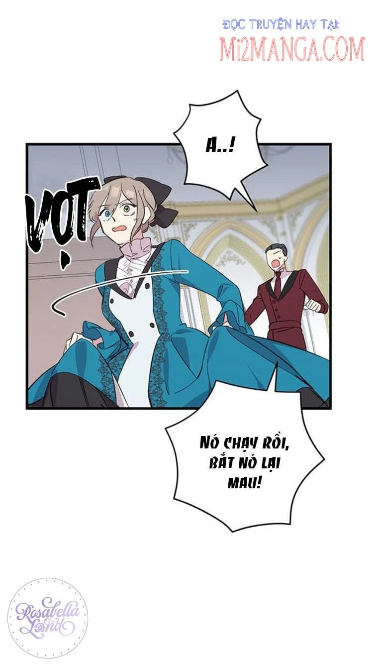 Khóc Đi Mà Hoàng Tử: Chapter 6.5