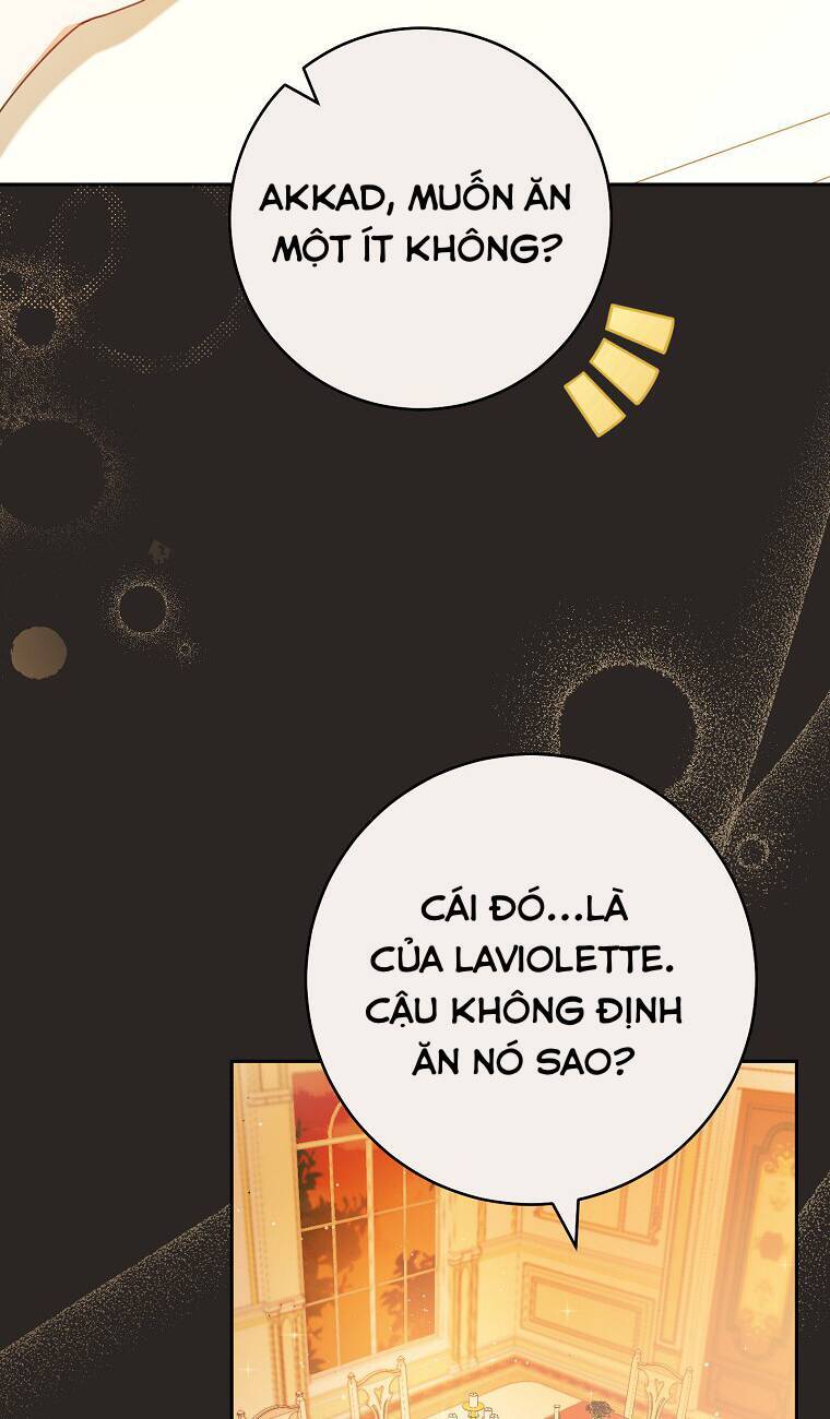 Tôi Đã Phạm Sai Lầm Rồi: Chương 2