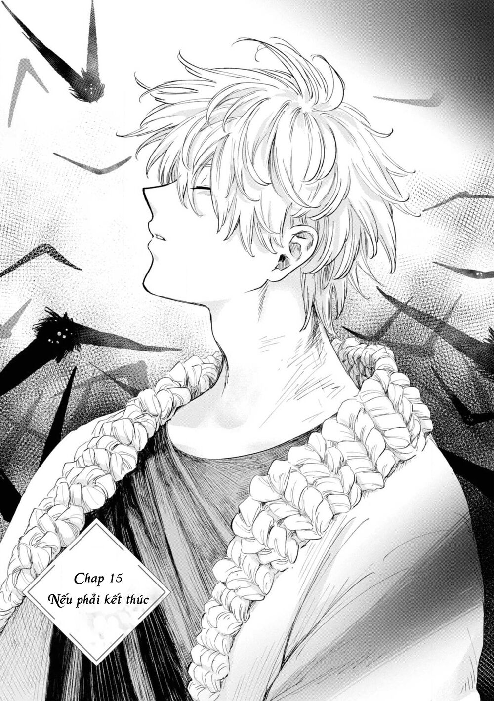 Itoshi No Ko, Charlotte: Chương 15