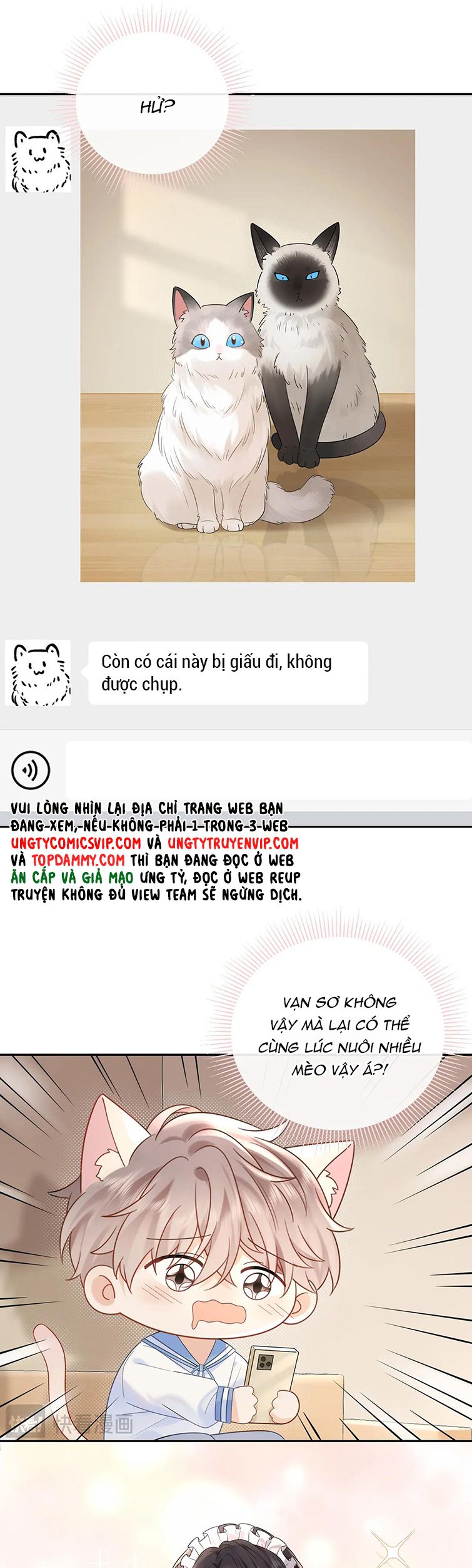 Nghiêm Cấm Bịa Đặt Tin Đồn: Chapter 5