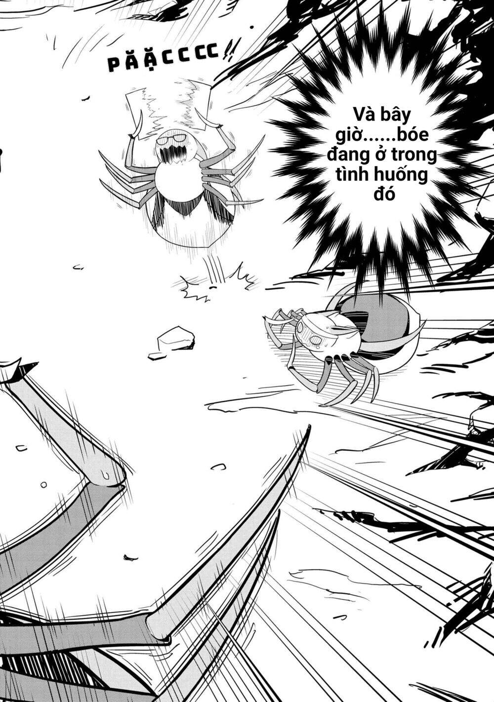 Kumo Desu Ka Nani Ka? Daily Life Of The Four Spider Sisters: Chương 1