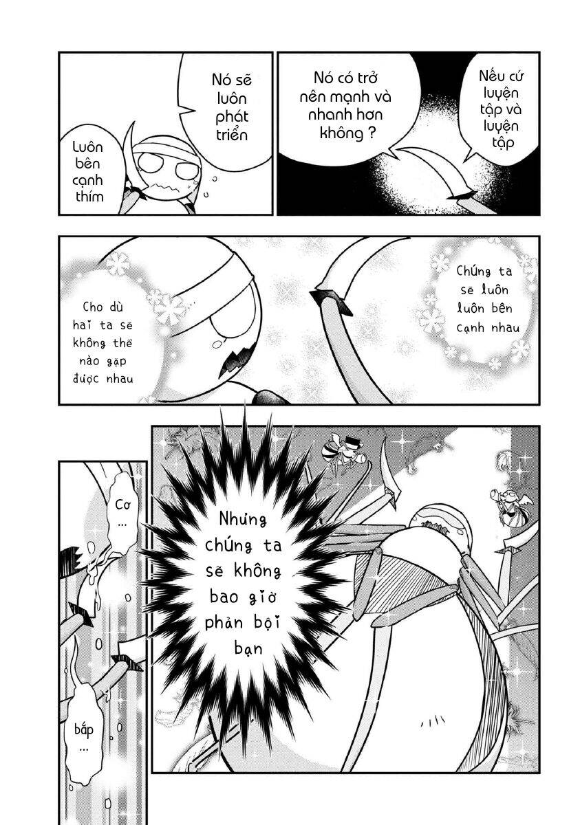 Kumo Desu Ka Nani Ka? Daily Life Of The Four Spider Sisters: Chương 8