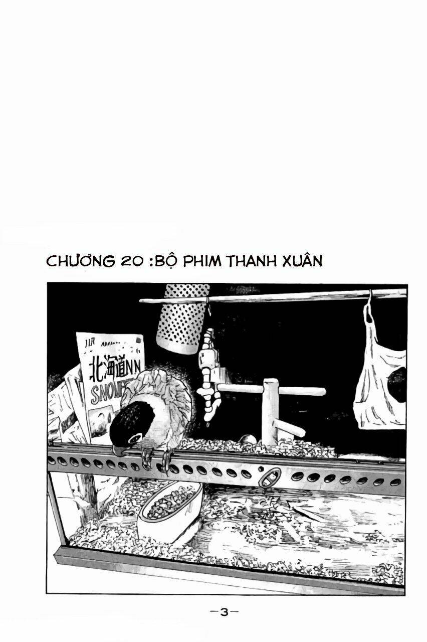 Sát Thủ ẩn dật: Chapter 20: Bộ phim Thanh Xuân