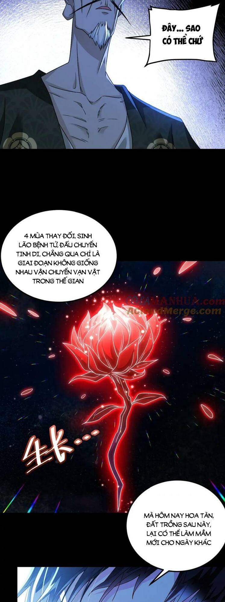 Tiên Tôn Lạc Vô Cực: Chapter 242