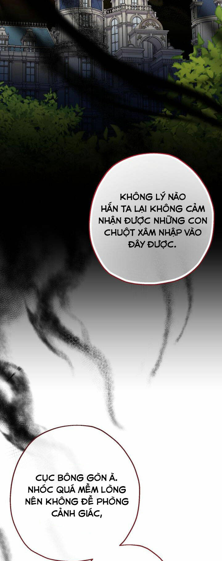 Tiểu Thư Tích Tiền Đi Bụi: Chapter 39