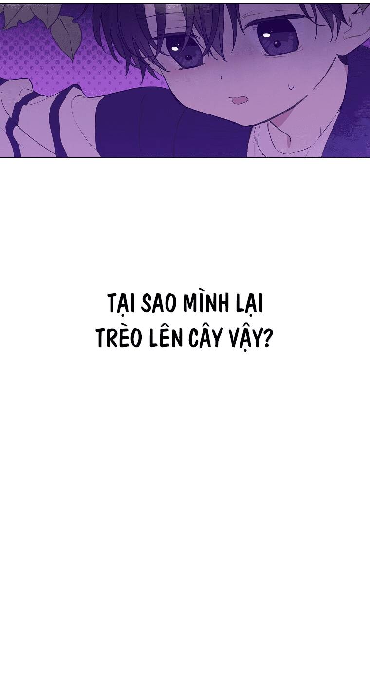Vùng Đất Rộng Lớn: Chapter 4