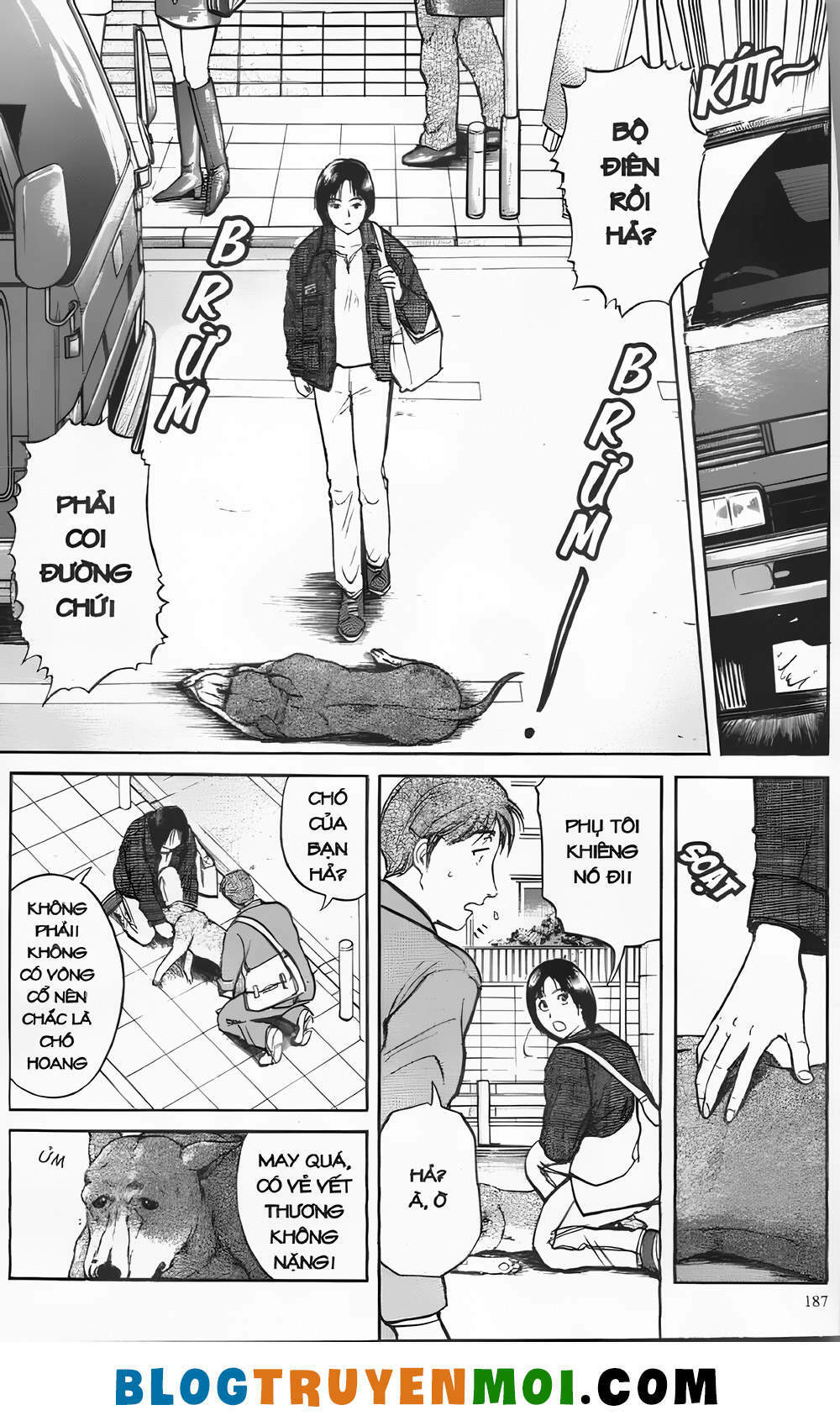 Thám Tử Kindaichi (Special Edition): Chapter 20.8: Án mạng trong rừng ma khuyển - Màn 8