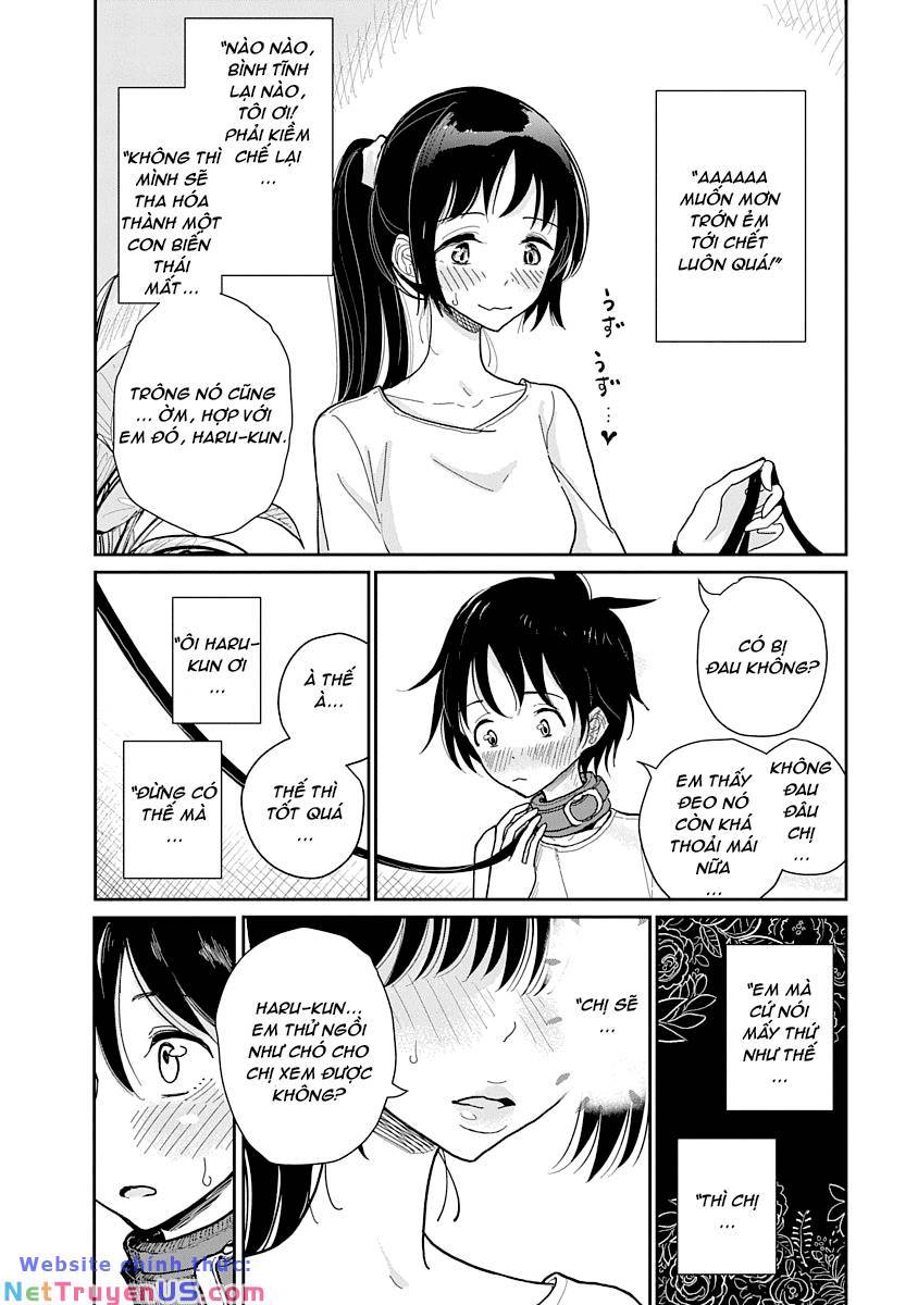 Tới Khi Em Cầu Xin Khẩn Thiết: Chapter 4