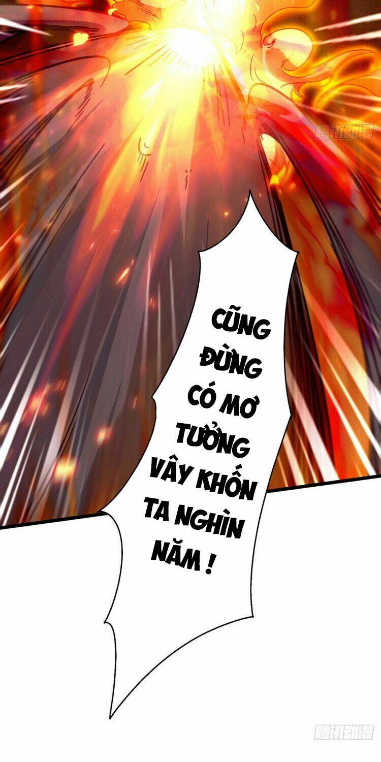 Bổn Tế Tu Chính Là Tiện Đạo: Chapter 144