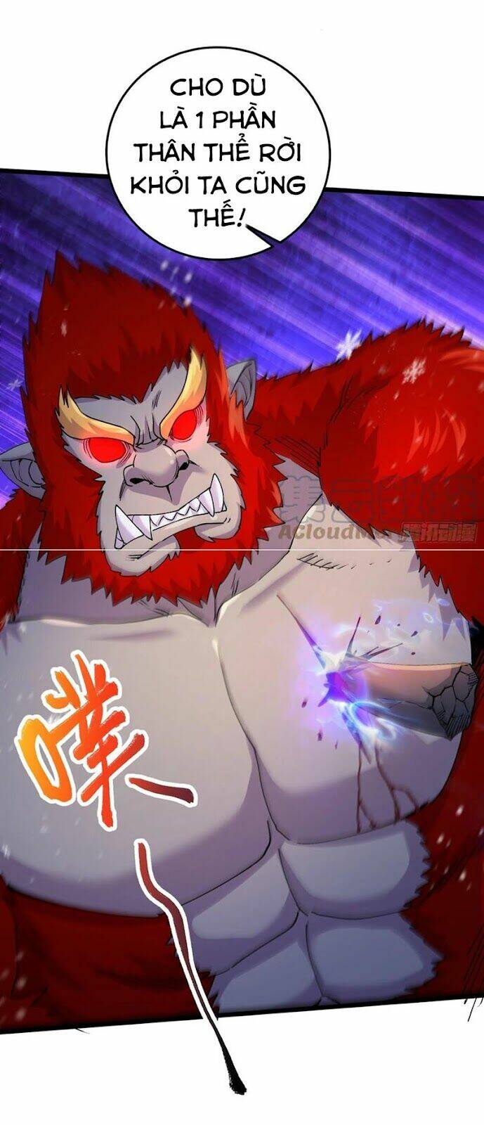 Bổn Tế Tu Chính Là Tiện Đạo: Chapter 228