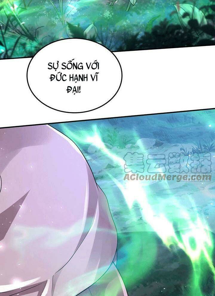 Bổn Tế Tu Chính Là Tiện Đạo: Chapter 256